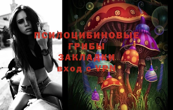 гидра Алзамай