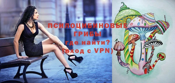 гидра Алзамай