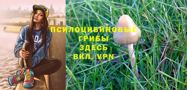 стаф Алексеевка